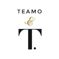 /images/shop-logo-teamo.png